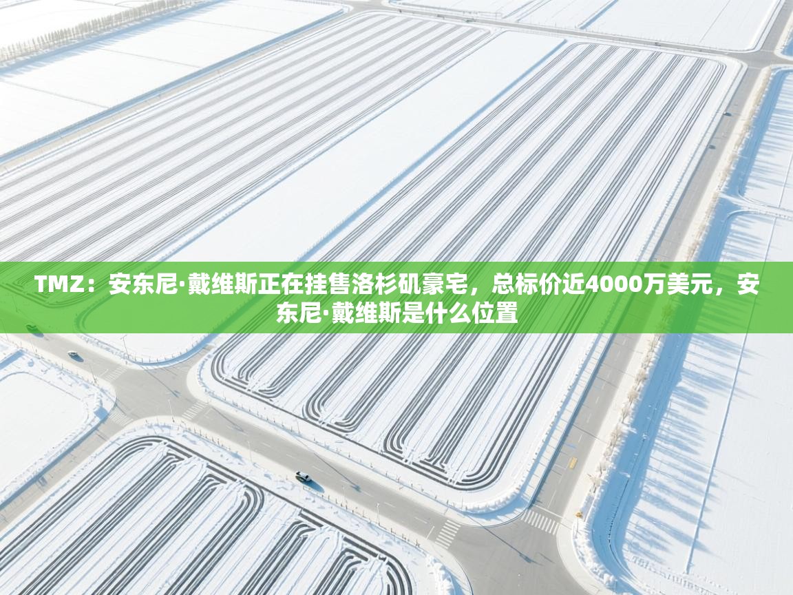 TMZ：安东尼·戴维斯正在挂售洛杉矶豪宅，总标价近4000万美元，安东尼·戴维斯是什么位置  第1张