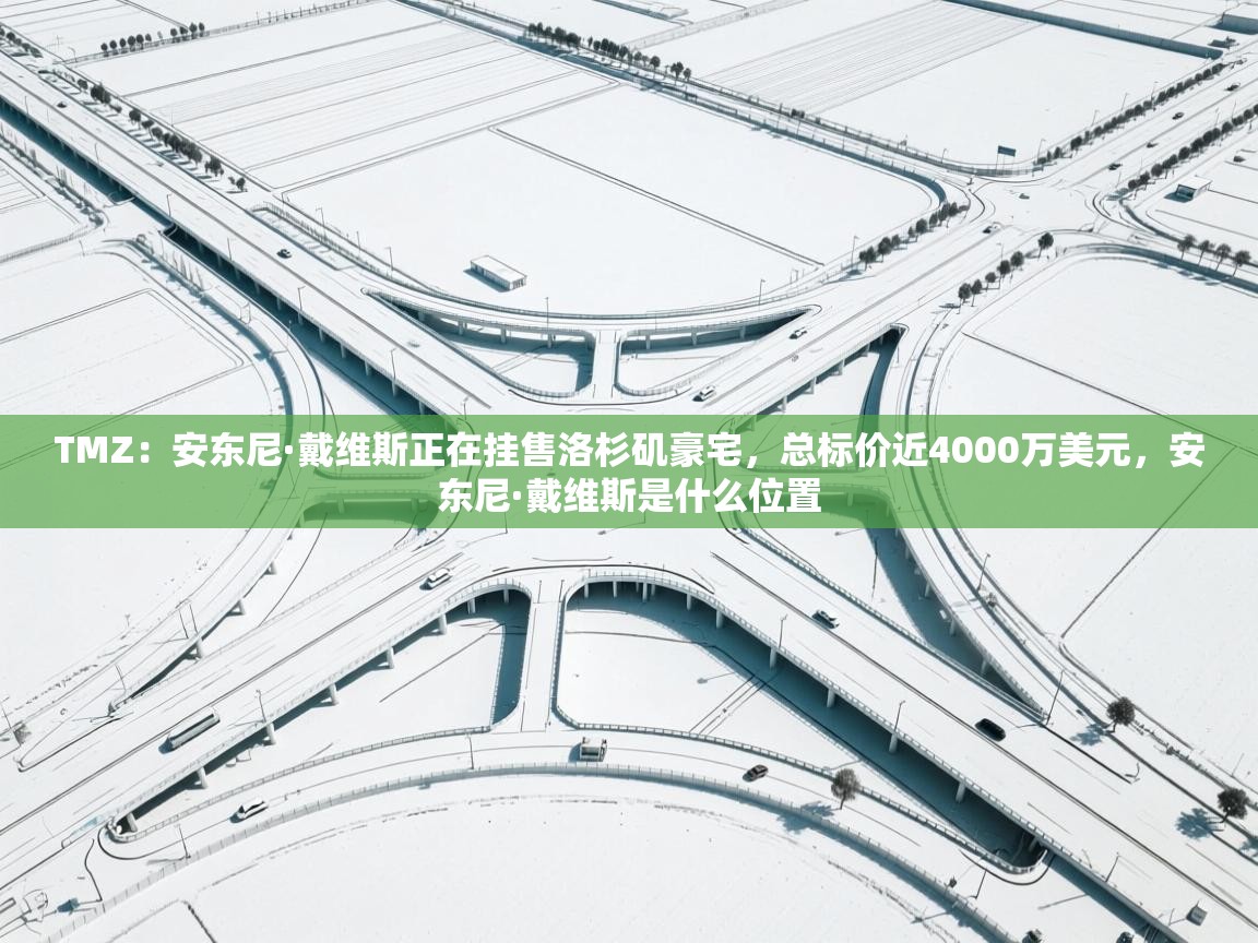 TMZ：安东尼·戴维斯正在挂售洛杉矶豪宅，总标价近4000万美元，安东尼·戴维斯是什么位置  第2张