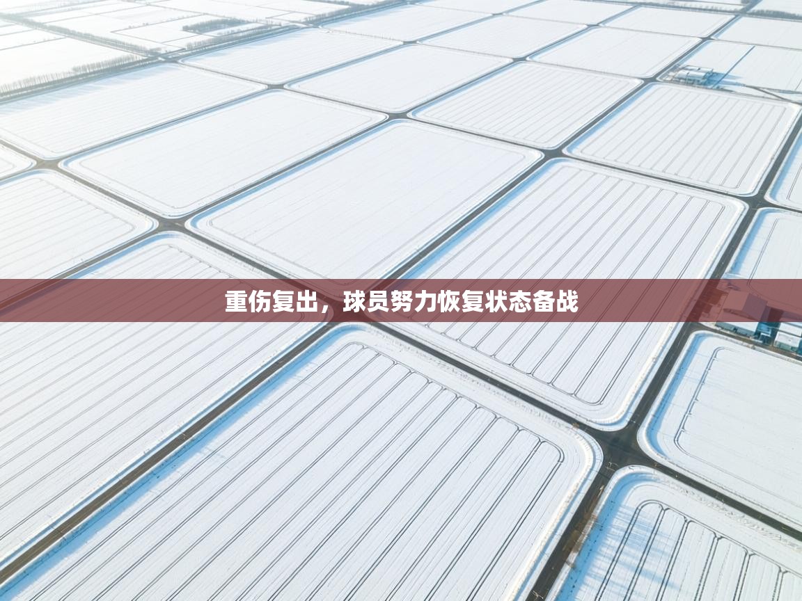 重伤复出，球员努力恢复状态备战  第2张
