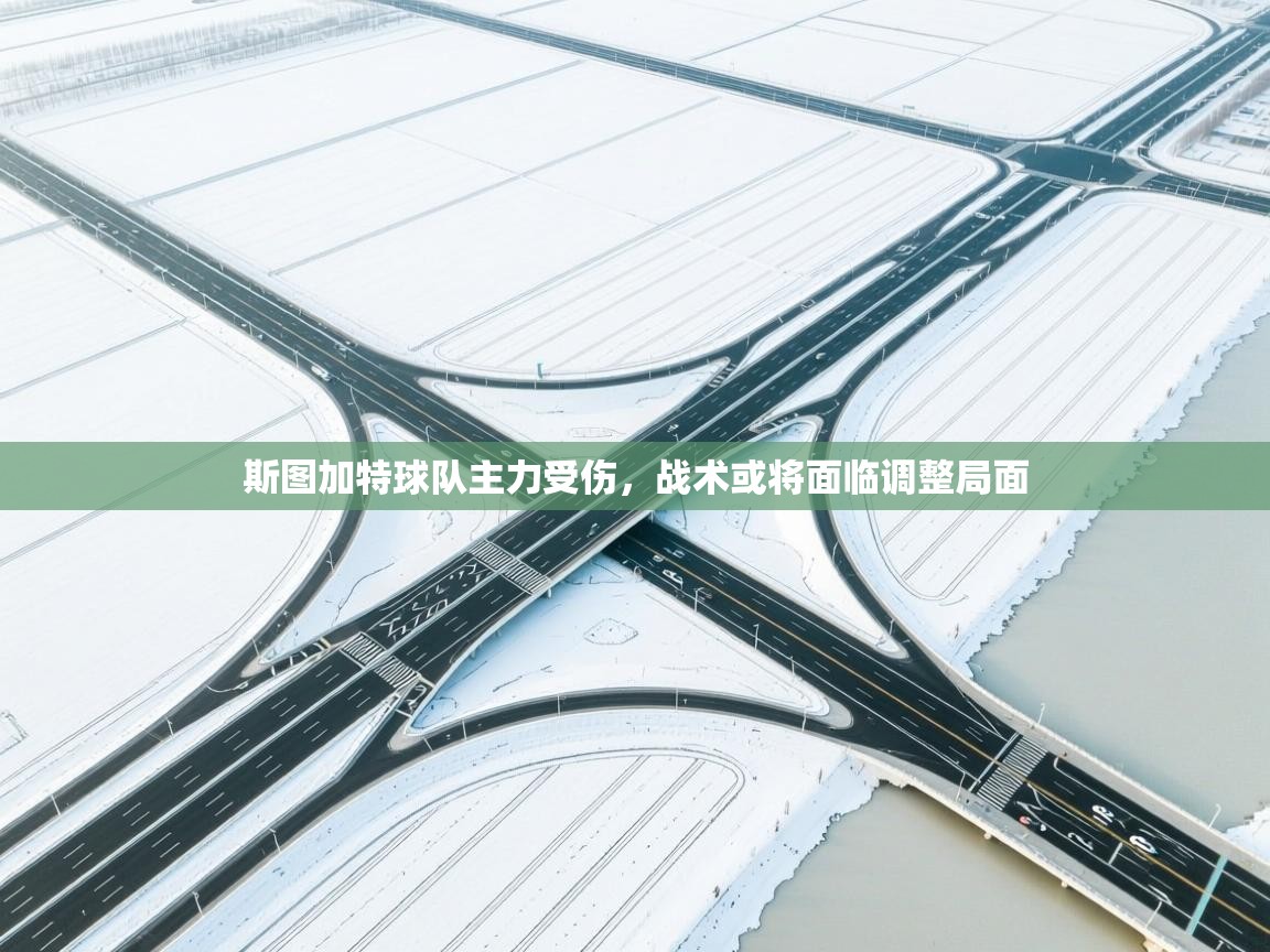 斯图加特球队主力受伤，战术或将面临调整局面  第1张