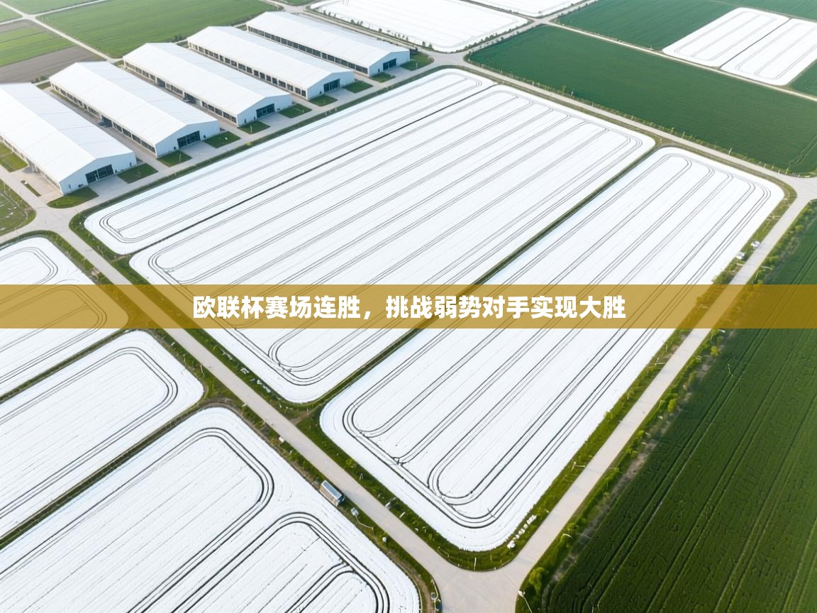 欧联杯赛场连胜，挑战弱势对手实现大胜  第2张