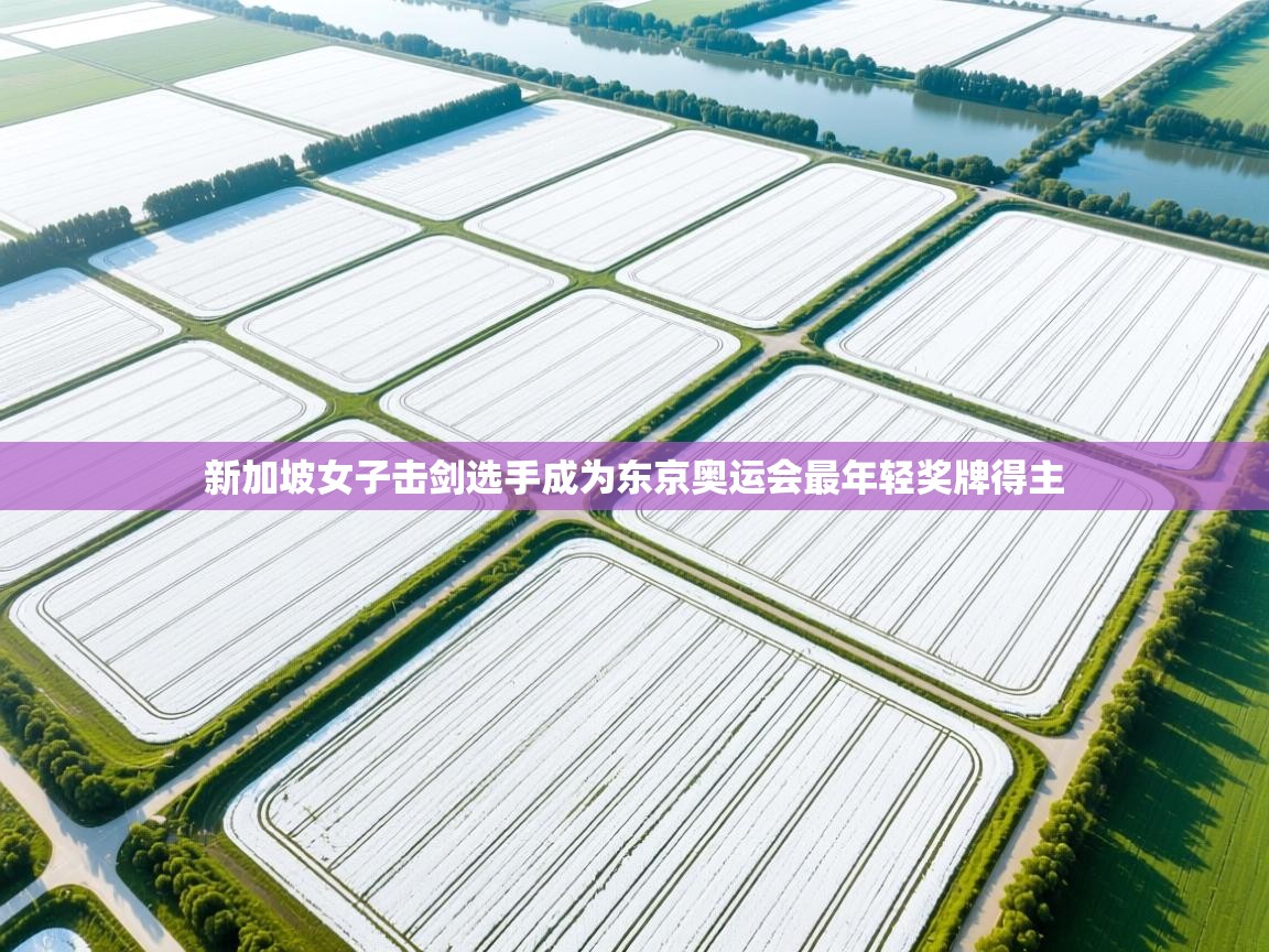 新加坡女子击剑选手成为东京奥运会最年轻奖牌得主  第2张