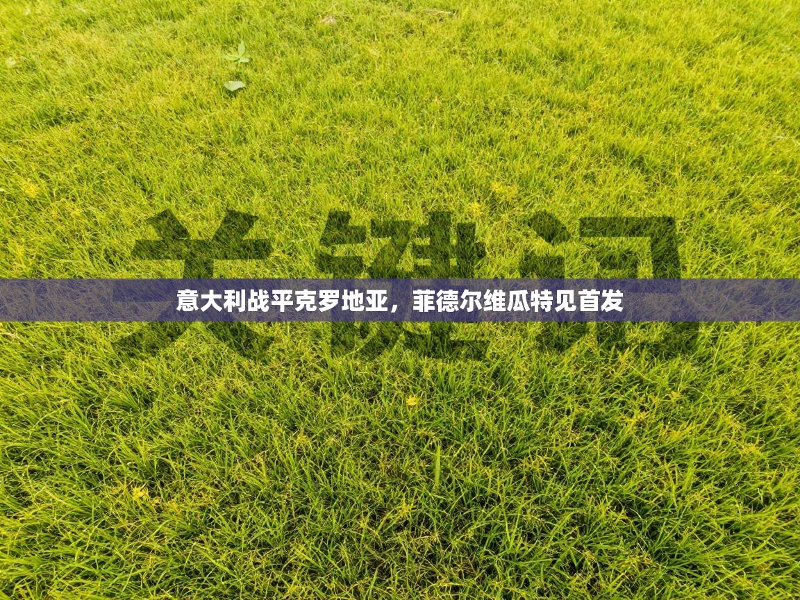 意大利战平克罗地亚,菲德尔维瓜特见首发 第1张